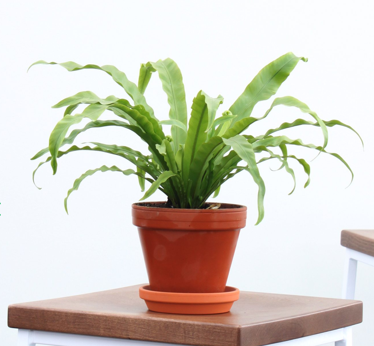 12 Last Minute Father's Day Gift Ideas For Every Type Of Dad
